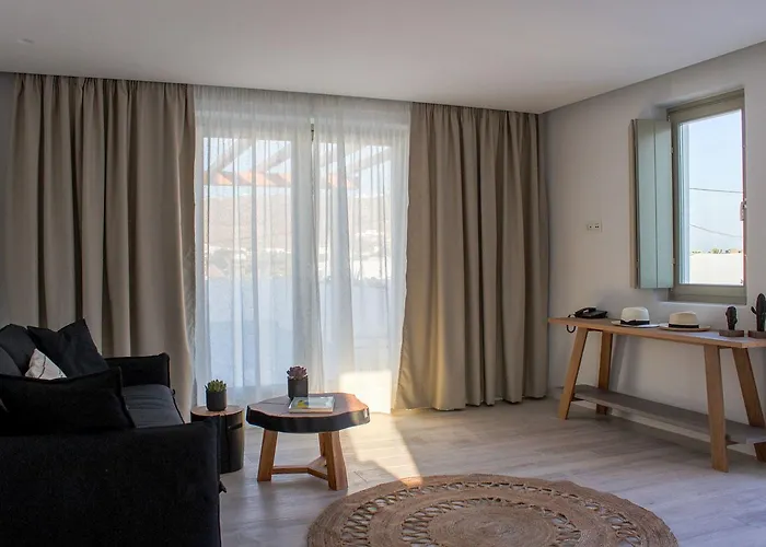 Mykonos Cactus Ornósz