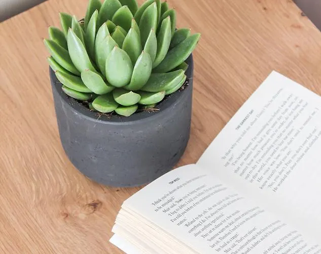 Szálloda Mykonos Cactus 3*