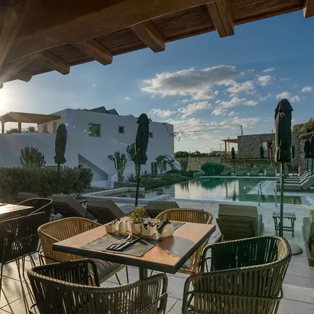 Mykonos Cactus