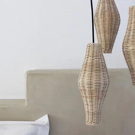 Mykonos Cactus 호텔 오르노스