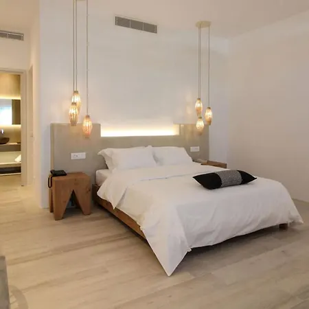 酒店 Mykonos Cactus 3*