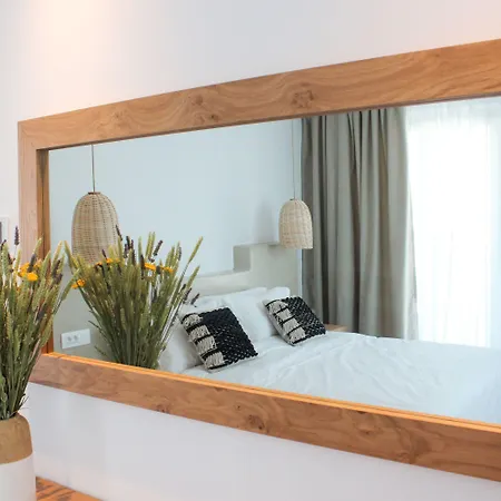 酒店 Mykonos Cactus 奥诺斯