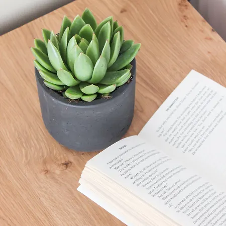 Mykonos Cactus 3* 奥诺斯