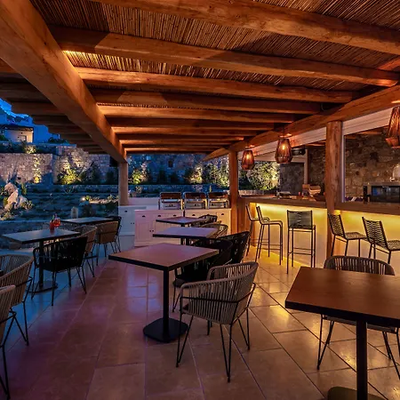 酒店 Mykonos Cactus