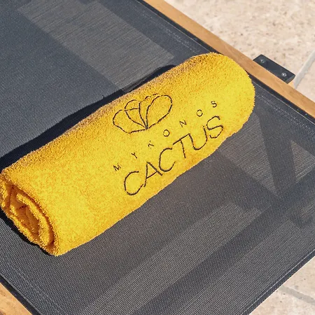 酒店 Mykonos Cactus 奥诺斯