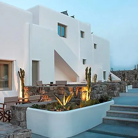 Mykonos Cactus 奥诺斯