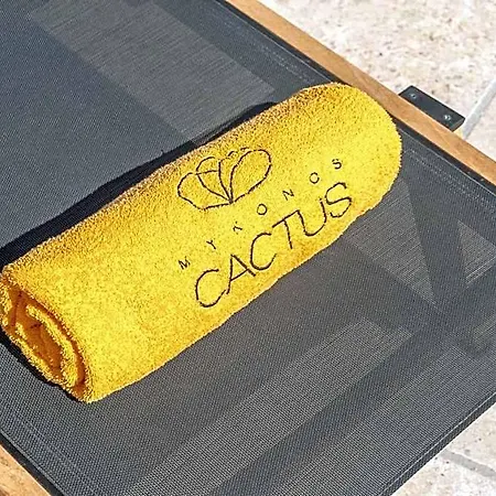 Mykonos Cactus ホテル 3*