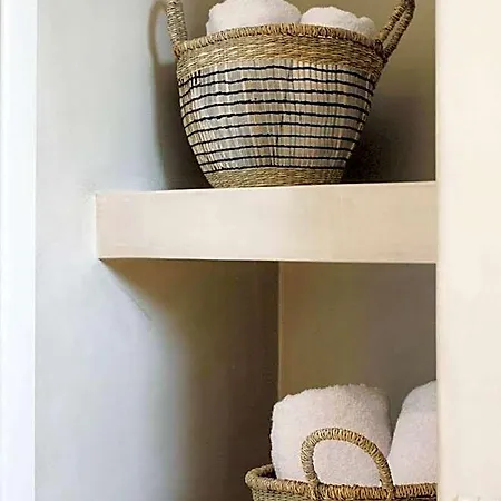 Mykonos Cactus