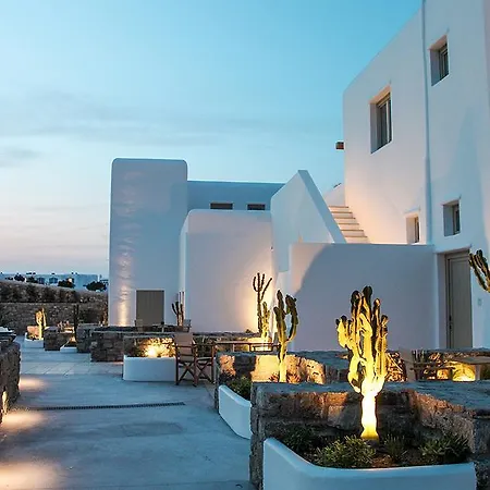 Mykonos Cactus