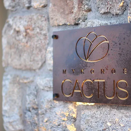 Mykonos Cactus 호텔 3*