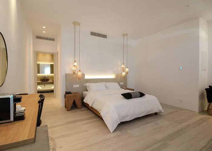 Mykonos Cactus Hotell Ornos (Mykonos)