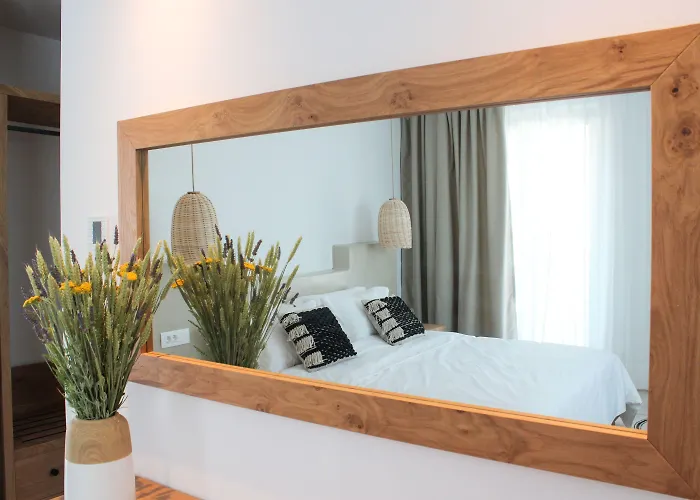 Hotell Mykonos Cactus Ornos (Mykonos)