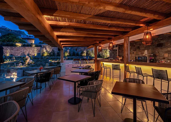 Hotel Mykonos Cactus