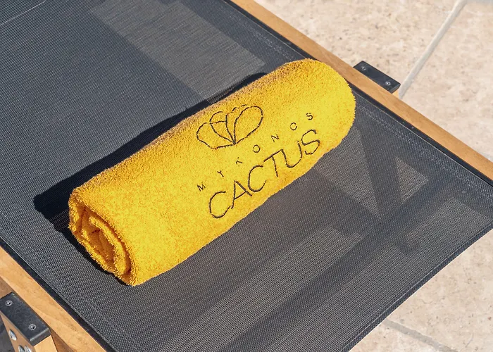 Hotell Mykonos Cactus Ornos (Mykonos)