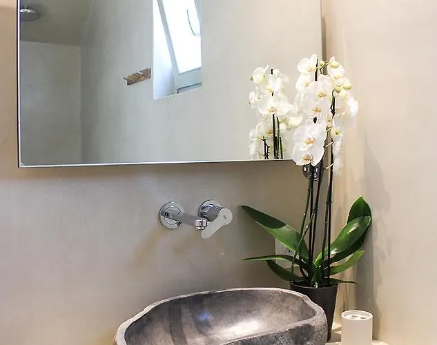 Mykonos Cactus Hotell Ornos (Mykonos)