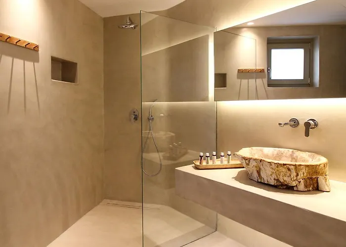 Mykonos Cactus Hotell Ornos (Mykonos)