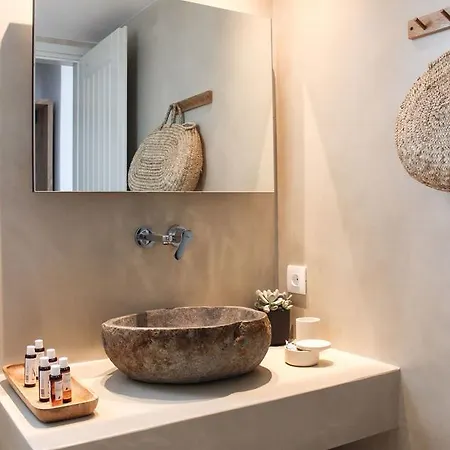 Mykonos Cactus