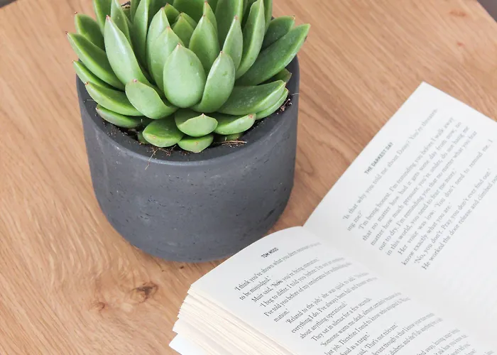 Mykonos Cactus 3* Ornos (Mykonos)